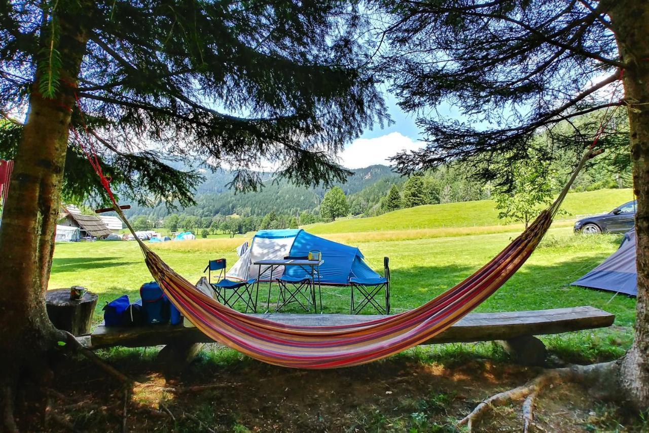 Tourist Farm Senkova Domacija Farm stay *