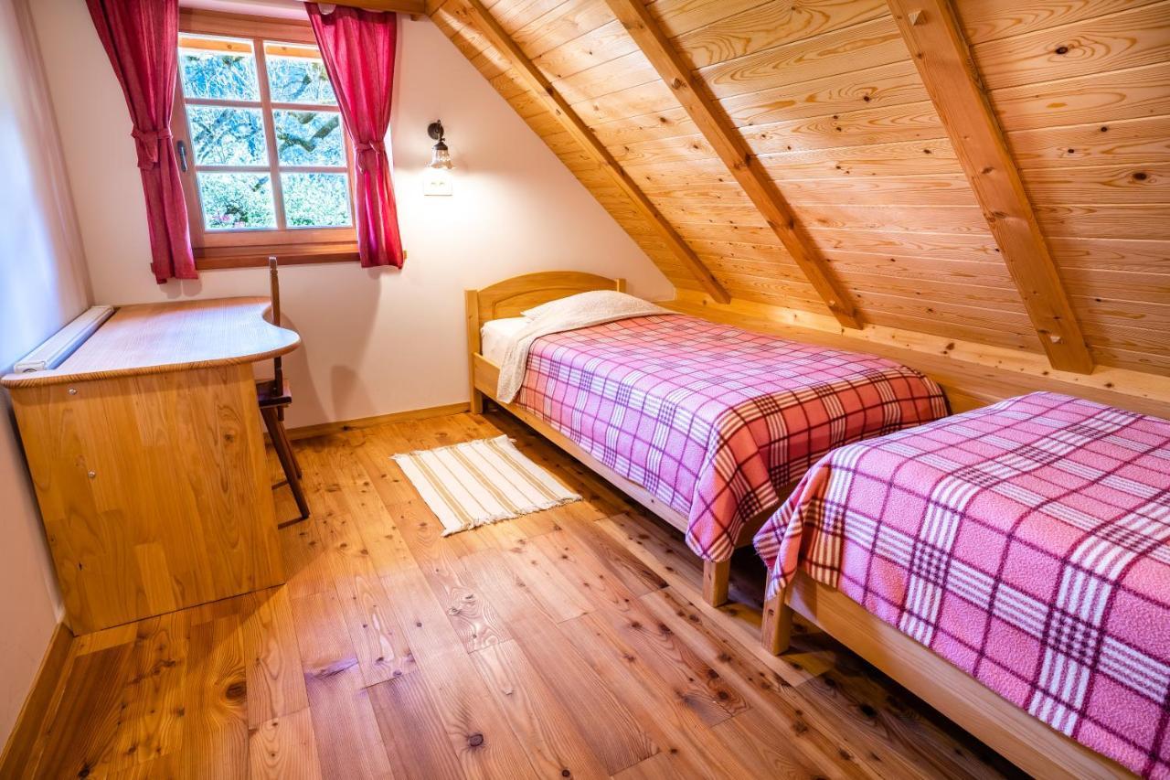Tourist Farm Senkova Domacija Farm stay