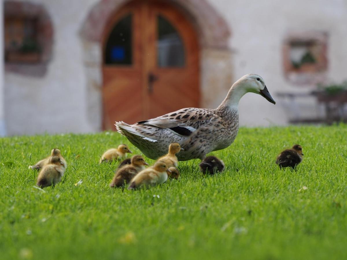 Tourist Farm Senkova Domacija Zgornje Jezersko