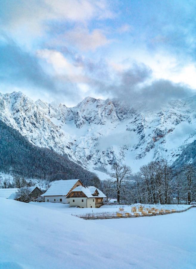 Farm stay Tourist Farm Senkova Domacija